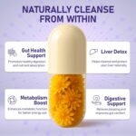 Organic Dandelion Root Capsules - 2000mg - 100 Capsules - High Strength for Bloating & Water Retention- Fluid Balance with High Absorption- Supports Liver Detox & Fluid Balance - FuelFinity® - Vegan - Image 4