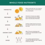 B-Vitamin Complex – Together Health – Whole Food Nutrients - 8 Essential B Vitamins - Vitamin C – Vegan Friendly – Made in The UK – 30 Vegecaps - Image 5