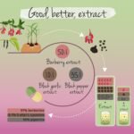 Vegavero Berberine HCL 1000 mg | 50:1 Barberry Extract 97% Berberin | with Black Garlic Extract, Chromium and Piperine | NO Additives, Lab-Tested | Blood Sugar Levels Supplement | Vegan - Image 4