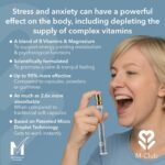 Wellbeing & Relaxation Oral Supplement Spray 14ml – Fast-Absorbing B Vitamins & Magnesium, Menopause, Energy & Mood – Vegan, Non-GMO, No Additives, Peppermint Flavour - 30-Day Supply - Image 3