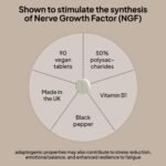 Lions Mane Mushroom Extract 50% Polysaccharides with Vitamin B1 & Black Pepper Focus, Memory & Brain Health Support Energy & Concentration 90 Vegan Tablets - Image 5