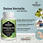 Ginkgo Biloba Capsules 6000mg with Acai, L-Carnitine and Vitamin E - 100 Days Supply - Memory and Energy Booster - Gingko Biloba Extract 50:1 - Supplement Without Additives - Image 3