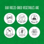 Super Garden Freeze Dried Pumpkin Powder - Natural Vegetable Supplement for Smoothies, Soups & Pet Food - Rich in Vitamins & Antioxidants, No Added Sugar or Gluten - Long-Lasting Storage Tin - 120g - Image 4