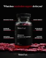 Advanced Metabolism Support – Food Supplement for Energy & Weight Management with Berberine, Green Tea & L-Carnitine, 60 Vegan Capsules, Made in The UK – The Motion Fuel - Image 3