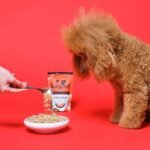 Pooch & Mutt - Bionic Biotic, Supplement for Dog Digestion (Healthy Skin and Glossy Coat), 200g - Image 4