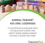 NaturesPlus Animal Parade Kid Zinc Chewables, Tangerine Flavour - Zinc and Vitamin C Supplement with Ginger, Olive Leaf - Immune Support - Vegan, Gluten Free - 90 Animal Shaped Tablets - Image 4