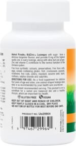 NaturesPlus Animal Parade Kid Zinc Chewables, Tangerine Flavour - Zinc and Vitamin C Supplement with Ginger, Olive Leaf - Immune Support - Vegan, Gluten Free - 90 Animal Shaped Tablets - Image 5