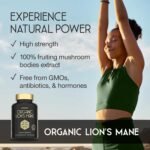 Organic Lions Mane Supplement - 1800mg Lion's Mane Capsules High Strength - Certified Organic by The Soil Association - 30 Capsules - 100% Lion Mane Mushroom Fruiting Bodies Extract - Made in The UK - Image 3