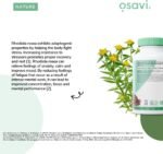 Osavi Rhodiola Rosea Root 400mg – 120 Vegan Caps | Adaptogenic Support for Reducing Stress–Induced Fatigue and Enhancing Mental & Physical Wellbeing - Image 4