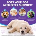 Melatonin for Dogs, 60ml Liquid Dog Melatonin Drops for Sleep Aid & Dogs Anxiety Relief, Dog Calming Treatment for Noise, Fireworks, Separation & Travel Stress - Image 3