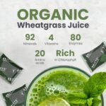 Organic Fresh Wheatgrass Shots | High Nutritional Content - Raw Wheatgrass Juice | Energy | Immune System | Performance | Digestion | Healthy Hair & Skin | 30 Shots Frozen | Britt's Superfoods - Image 4