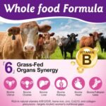 Beef Organ Complex Supplement for Women Grass Fed Beef Liver, Kidney & Heart Organ Capsules Supports Women's Overall Energy and Health 100% Pasture Raised Cattle - 60 Capsules - Image 3