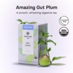 OSULLOC Mint Maesil, Peppermint Tea with Maesil (Korean Plum), Refreshing Herbal Tea, Digestion support, 20 Count, 1.27 oz - Image 4