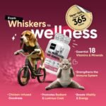 Multivitamins for Dogs & Cats - With 18 Vitamins & Minerals - 365 Chicken-Flavoured Tablets - Dog Vitamins and Supplements for Natural Immunity, Skin, Coat, Muscles & Joints for All Ages - Image 3