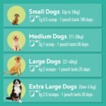 Calm-K9 | Calming Supplement for Dogs | Helps with Anxiety Relief, Fireworks, Stress & Barking | Natural Ingredients & Superfoods | Mix with Dog or Puppy Food | All Ages & Breeds | Absolute Dogs - Image 4