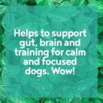 Calm-K9 | Calming Supplement for Dogs | Helps with Anxiety Relief, Fireworks, Stress & Barking | Natural Ingredients & Superfoods | Mix with Dog or Puppy Food | All Ages & Breeds | Absolute Dogs - Image 5