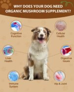 9 in 1 Mushroom Supplement for Dogs - Turkey Tail Mushroom for Dogs - with Turkey Tail, Reishi, Lions Mane, High Beta Glucan - Digestive, Cellular, Immune Health Support - Chicken Flavor Powder - Image 3