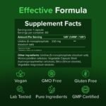 Uridine 250mg, 60 Caps – Cognitive & Brain Support – Pure Ingredients, GMO & Gluten Free – GMP Certified Nootropic Supplement by Raw Powders - Image 5