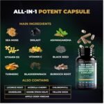 Sea Moss, Shilajit, Ashwagandha, Black Seed Oil, Burdock Root, Turmeric, Vitamin D3 & Vitamin C with MultiMinerals 9-in-1 Wellness Supplement - 60 Capsules - MightyMineral by Natural Gold Wellness - Image 5