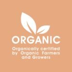 Organic Lion's Mane Mushroom Powder | 7 Month Supply | High-Strength Full-Spectrum Extract for Cognitive Function, Focus, and Immune Support | 100% Pure Hericium Erinaceus - Image 5