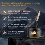 Shilajit Pure Himalayan 600mg Authentic Himalayan Shilajit Resin for Men & Women, with 85+ Fulvic Acid & Trace Minerals - Elevate Energy, Strength & Wellness Naturally (30g) - Image 4