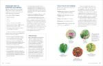 Herbal Gut Health: Natural Therapies to Promote Healthy Digestion, Boost Your Microbiome, and Support Gut Repair - Image 4