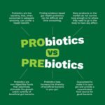 Prebiotic Fibre Complex for Gut Health by Wellbiome – Probiotic Support, Digestive Wellness, Immune System Support – Magnesium for Anxiety, Mood & Energy – 30 Servings - Image 5