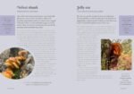 The Forager's Almanac: A year of sustainable foraging, wildcraft and recipes - Image 3