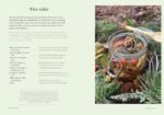 The Forager's Almanac: A year of sustainable foraging, wildcraft and recipes - Image 4