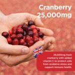 Healthspan Super Strength Cranberry (60 Capsules) | for Immune Health and Wellbeing | Equivalent to 25000 mg Whole Fresh Cranberries | Highly Concentrated Formulation | Added Vitamin C | Vegan - Image 4