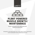 Amfit Nutrition Plant Based Protein Powder, Chocolate Brownie, 900g - Image 4