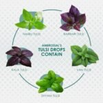 Tulsi Drops Concentrated Extract of 5 Rare Tulsi 60ml | 100% Natural | Immunity Booster | Relieves Cough & Cold | by Ambrosial - Image 6