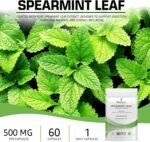 Spearmint Leaf Capsules - 500mg Hormonal Balance Digestive Health Fatigue & Stress Relief Support Antioxidant Formula Natural Food Supplement - 60 Capsules 2 Month Supply - Image 3