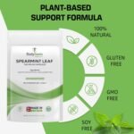 Spearmint Leaf Capsules - 500mg Hormonal Balance Digestive Health Fatigue & Stress Relief Support Antioxidant Formula Natural Food Supplement - 60 Capsules 2 Month Supply - Image 4