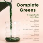 Proto-col Super Greens Powder, 15 Superfood Blend with Ashwagandha, Spirulina & Chlorella, Vegan Daily Greens Drink for Energy, Immunity & Gut Health, Adaptogenic Superfood Supplement (180g) - Image 3