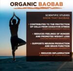 Organic Baobab Powder 200g | Immune Support | Gut Health & Blood Sugar Control - Image 5