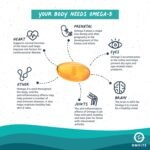 Omvits Vegan Omega 3 DHA from Algae Oil 1000mg - 60 Softgel Capsules with Vitamin E - Sustainable Algal Alternative to Fish Oil - Vegetarian Essential Fatty Acids - Supports Heart, Brain & Eyes - Image 4