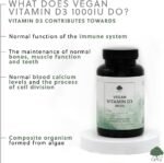 Vegan Vitamin D3 1000iu Capsules - Plant-Based from Natural Lichen - 120 Vegan Capsules - Non-GMO, Made in The UK by G&G Vitamins - Image 4
