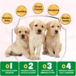 Bladder & Kidney Support for Dogs, Urinary Tract treatment and Bladder Control Supplement, Soft Chews with Cranberry and D-Mannose, Natural Immune System Booster - Peking Duck Flavor, 30pcs - Image 6