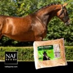 NAF Garlic Granules Refill 3kg – Natural Equine Supplement – Supports Immune System, Respiration and General Health – Pure Dried Garlic for Horses - Image 4