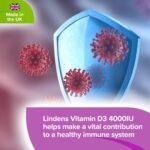 Lindens Vitamin D3 4000IU & MK7 K2 | 90 Tablets | UK Made | Immune Health, Bones, Teeth, Muscle, Blood Calcium Absorption | High Strength Vitamin D & K2 Supplement | 3 Months Supply | Vegetarian - Image 5