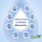 Urolithin A Supplement 2000mg - 120 Softgels 60-Day Supply - Enhanced with Pomegranate, Strawberry, and Walnut Extracts - for Mitochondria, Energy, Antioxidants & Cellular (120 Count (Pack of 1)) - Image 5