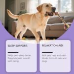 Dog Calming Drops - Stress Relief Formula with Natural, Nighttime Sleep Aid for Puppies and Adult Dogs, Easy-To-Give Supplement with Soothing Effect, Relaxation Support for Small, Medium - Image 9