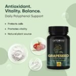 Ambrosial Grape Seed Extract Capsules 400 mg– 95% OPC Polyphenols – (4 Months Supply) - Premium Antioxidant Support – Vegan, Non-GMO, Gluten-Free – GMP Certified – 120 Capsules - Image 3