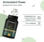 Ambrosial Grape Seed Extract Capsules 400 mg– 95% OPC Polyphenols – (4 Months Supply) - Premium Antioxidant Support – Vegan, Non-GMO, Gluten-Free – GMP Certified – 120 Capsules - Image 4