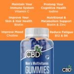CBDfx 1500mg CBD High Strength Men's Multivitamin Gummies, Vitamins A, C, D3, E, B6, B12, Zinc, Biotin, Iodine, 60 Gummies (30 Days) - Image 5