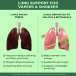 Mullein Lung Support 60 Gummies. 6 in 1 Botanical Blend with Elderberry, Marshmallow Root & Licorice Root Extract, Quertin and Bromelain - Image 3