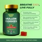 Mullein Lung Support 60 Gummies. 6 in 1 Botanical Blend with Elderberry, Marshmallow Root & Licorice Root Extract, Quertin and Bromelain - Image 5