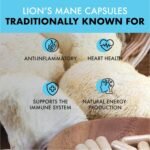 Organic Lion's Mane Capsules - Deep Focus - 60,000mg - Lions Mane Supplement for Memory and Focus Support - Vegan and Made in The UK - Natural Colours and Flavours - 60 - Image 4
