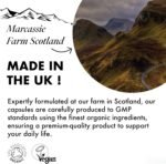 Organic Lion's Mane Capsules - Deep Focus - 60,000mg - Lions Mane Supplement for Memory and Focus Support - Vegan and Made in The UK - Natural Colours and Flavours - 60 - Image 5